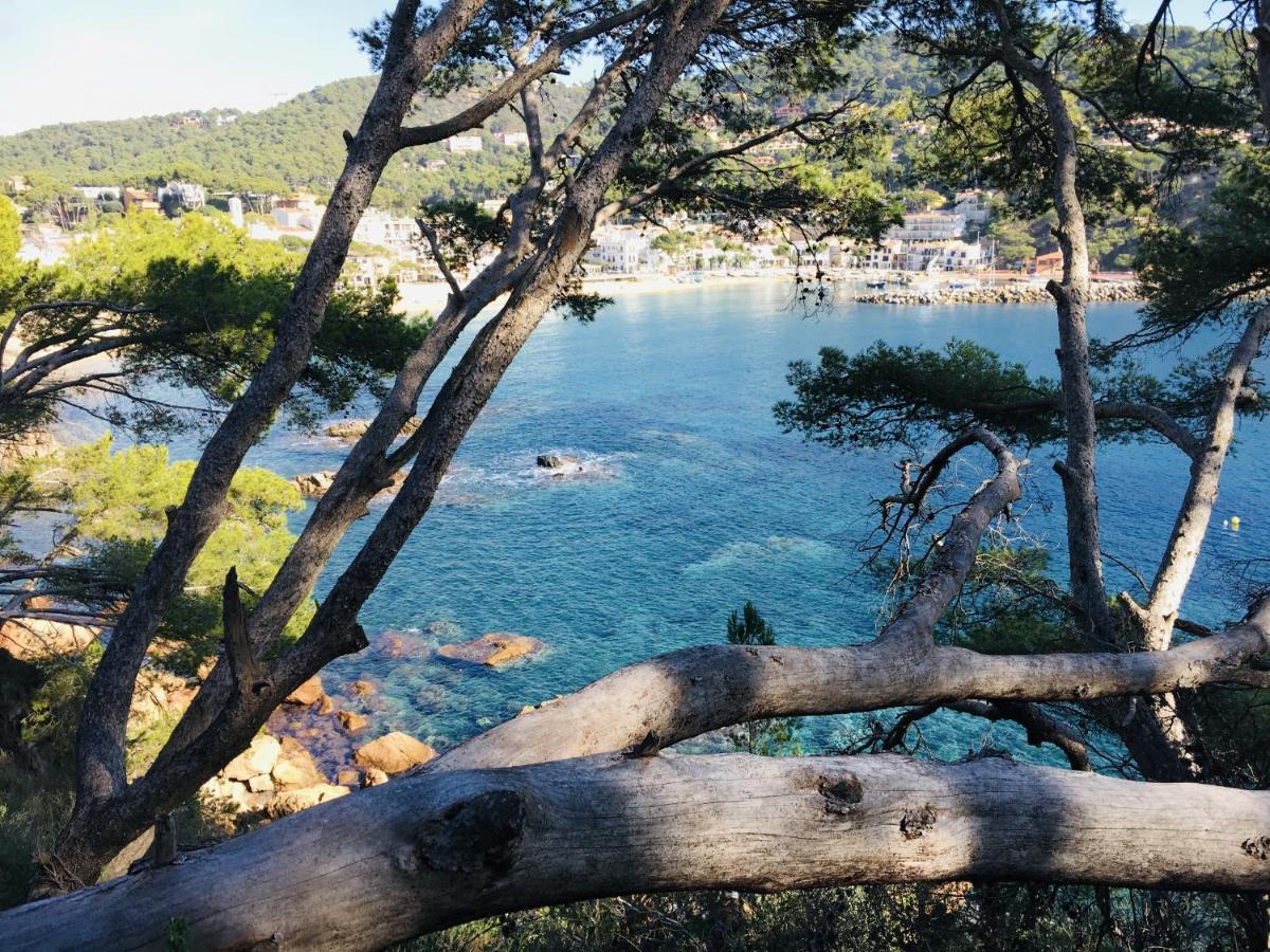 Anc 08 - Llafranc Daire Dış mekan fotoğraf